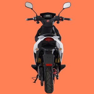 Xe điện, xe điện tử, xe máy