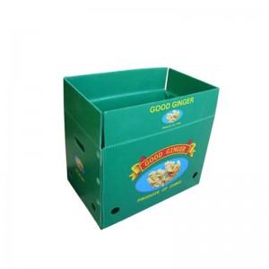 Hộp gừng