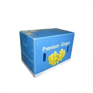 Hộp gừng