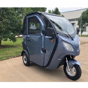 E-Trike, E-Tr trâm, Trike điện