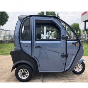 E-Trike, E-Tr trâm, Trike điện