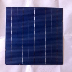 Tế bào đa tinh thể