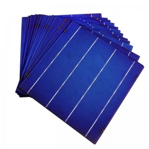 Tế bào đa tinh thể