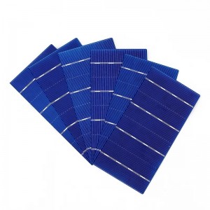 Tế bào đa tinh thể