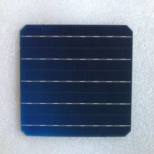 Tế bào đơn tinh thể