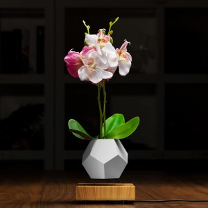 bay từ trường nổi đáy chậu trồng cây cảnh PA-0708