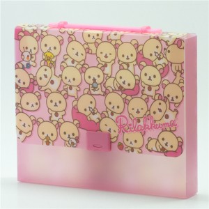 Hộp tập tin bằng nhựa tùy chỉnh Túi đựng tập tin