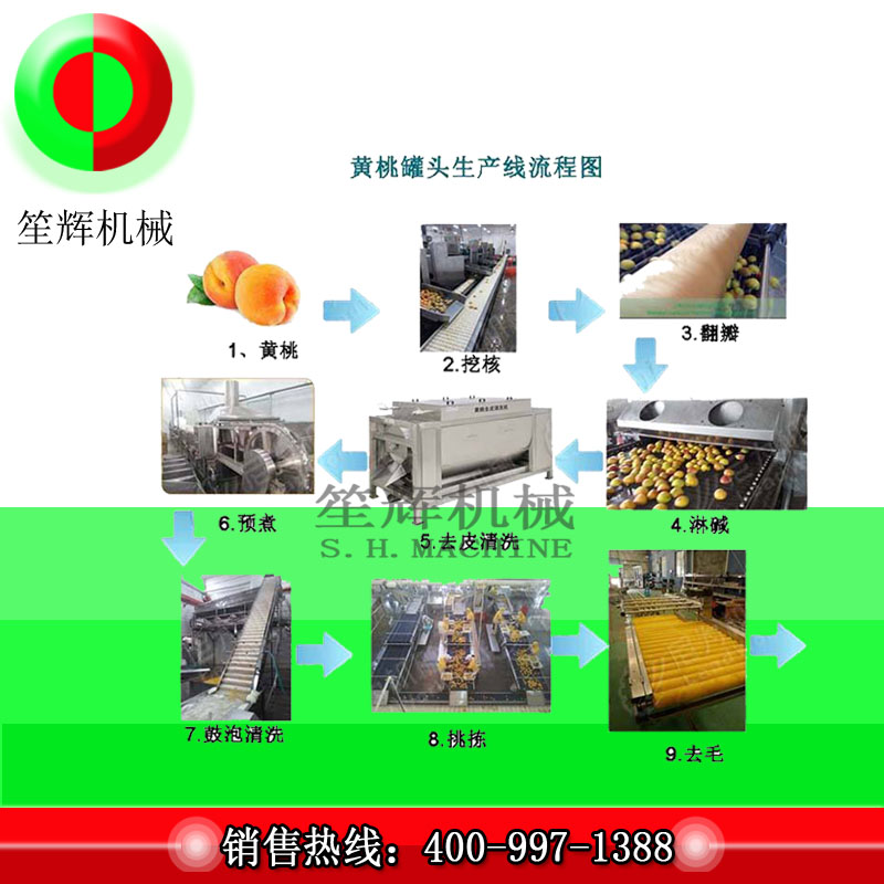 Dây chuyền sản xuất chế biến trái cây lớn / dây chuyền sản xuất chế biến đào vàng