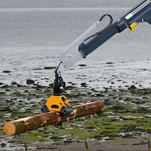 Cổng gỗ xử lý