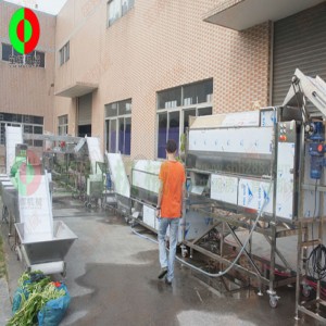 Dây chuyền sản xuất và cắt rau quả lớn