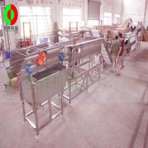 Dây chuyền sản xuất và cắt rau quả lớn