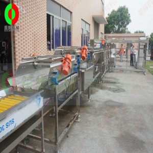 Dây chuyền sản xuất và cắt rau quả lớn