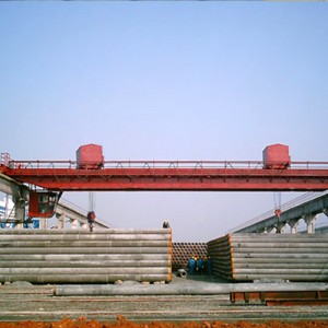 Cần cẩu đôi dầm với xe đẩy đôi