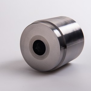 trường hợp thép chèn cacbua lạnh tiêu đề chết cho bước vít