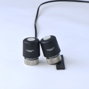 CDZ20.1 ... Bộ truyền động điện loạt