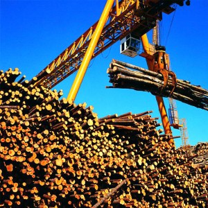 Cổng cẩu với Grab