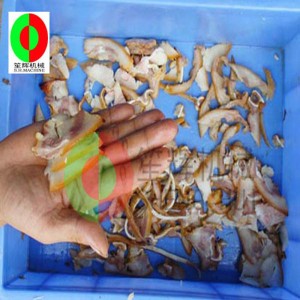 Máy thái thịt nhỏ / máy thái thịt / máy cắt thịt / máy thái thịt nhỏ dọc QE-500