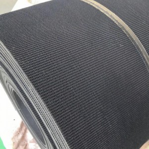 Băng tải hàng đầu thô