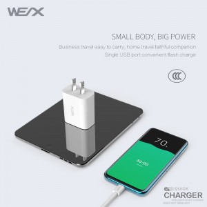 WEX - Bộ sạc du lịch V8, bộ sạc tường, bộ đổi nguồn