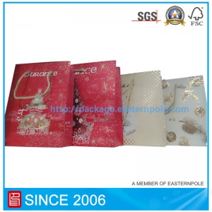 Túi giấy tùy chỉnh với tất cả các loại kích cỡ và thiết kế