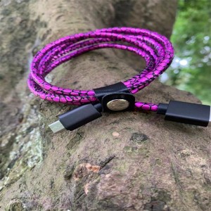 Dây đựng dữ liệu nhỏ