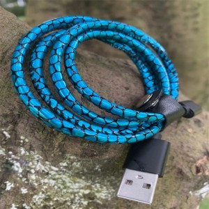 Dây đựng dữ liệu nhỏ