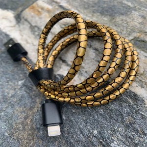 Dây đựng dữ liệu nhỏ