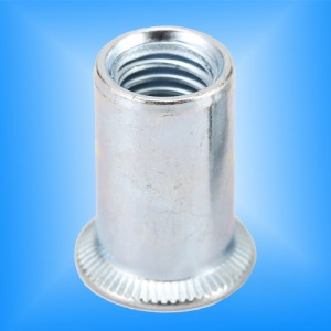 Thân tròn đầu tròn