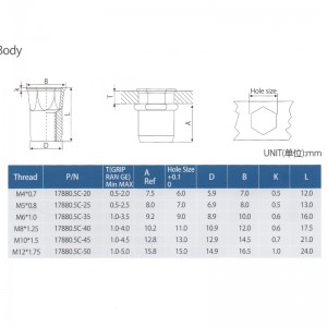 Giảm cơ thể Hex Head-Hex