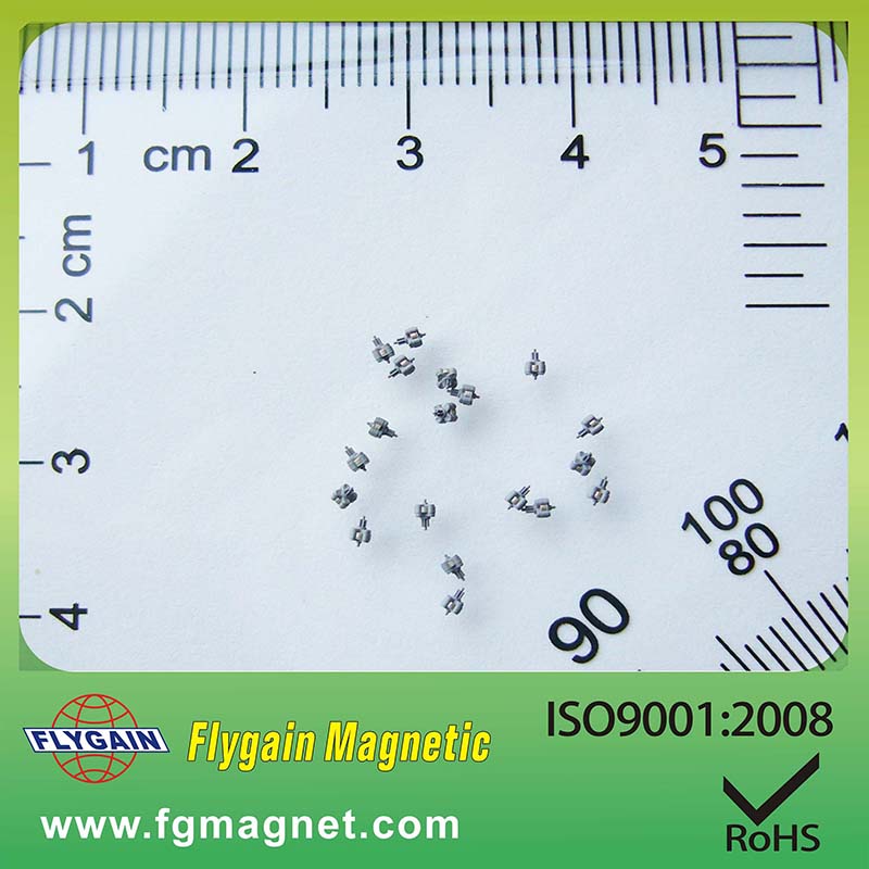 Micro Magnet cho Watch Motor