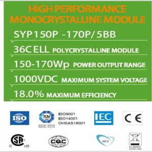MODULE MONOCRYSTALLINE HIỆU SUẤT CAO SYP150P -170P / 5BB 36C ELL POLYCRYSTALLINE MODULE