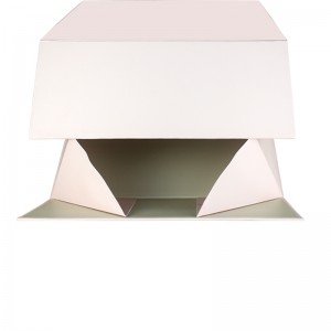 Hộp quà tặng hình dạng nam châm tùy chỉnh sang trọng cho bao bì mỹ phẩm