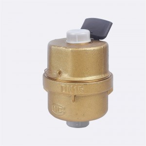 Đồng hồ đo nước pít-tông quay