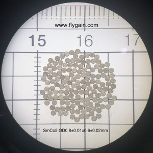 Trung Quốc Nhà sản xuất Nam châm nhỏ chính xác cho động cơ