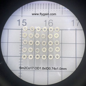 Trung Quốc Nhà sản xuất Nam châm nhỏ chính xác cho động cơ