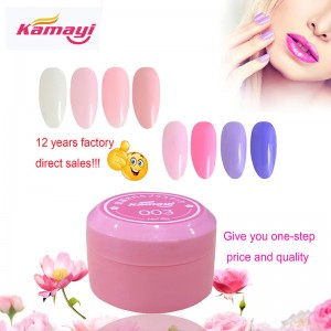 Kamayi Oem nhãn đặc biệt đại lý đánh bóng polygel, sơn vecni chuyên nghiệp 48 màu