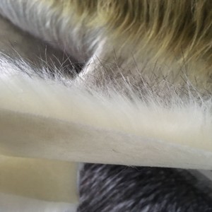 Giá thi đấu của máy cắt tóc bao tử BOA