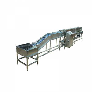 WF100 Egg Description