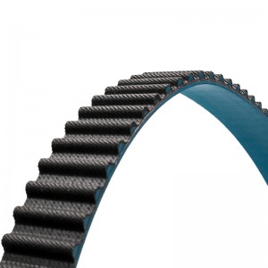 Bộ Thời trang tự động