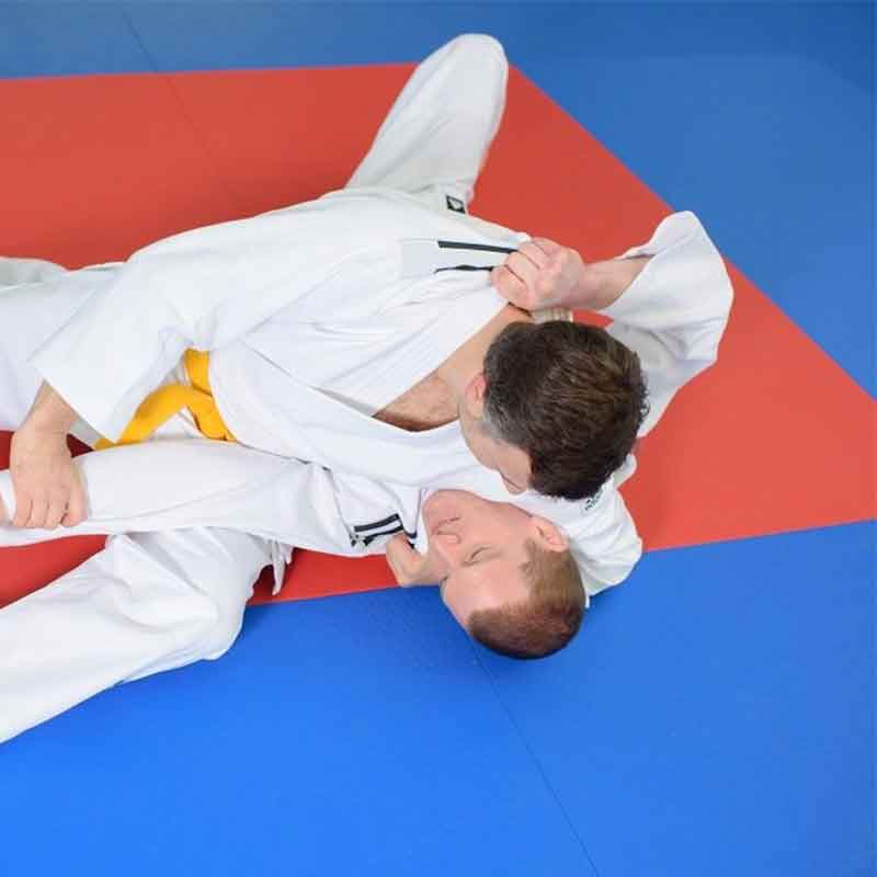 Thảm đấu vật chuyên nghiệp được chỉ định chính thức (ACF)