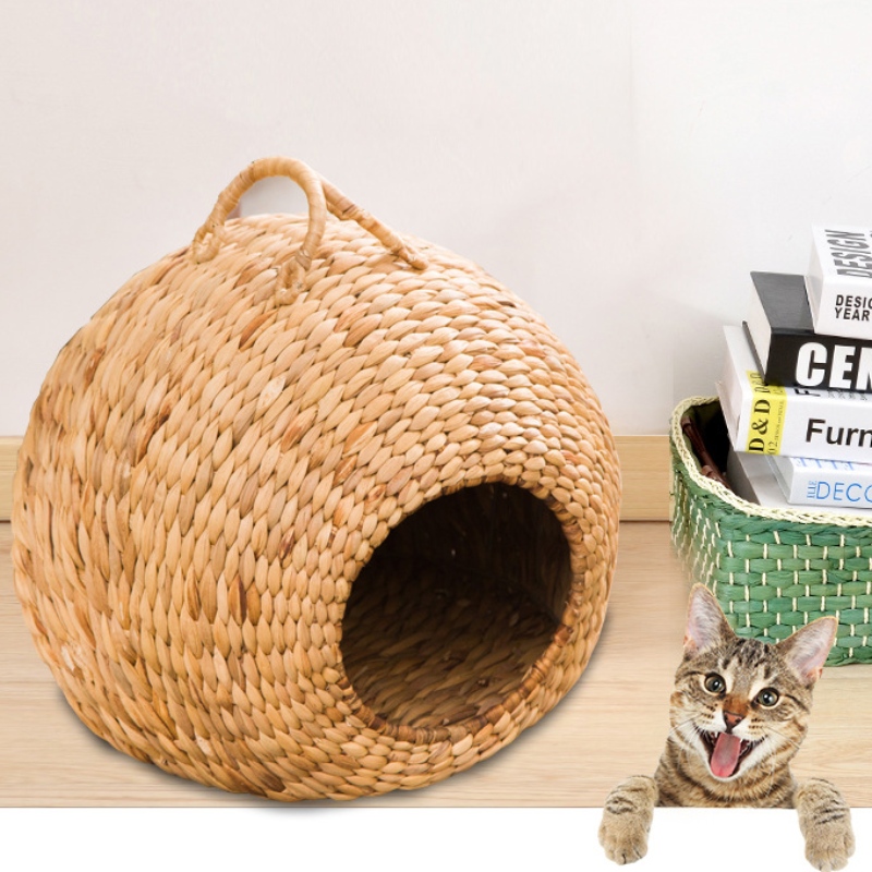 Tổ yến \/ giường