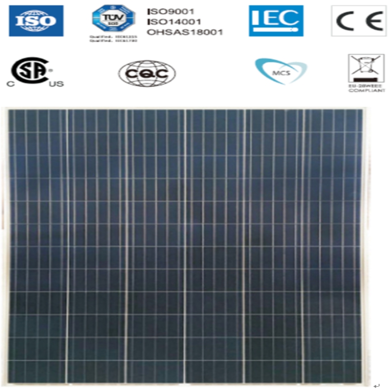 MODULE MONOCRYSTALLINE HIỆU SUẤT CAO SYM72-6-100P-120P