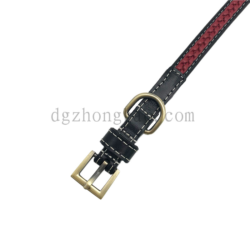 Da đen và cổ áo thú cưng cho chó