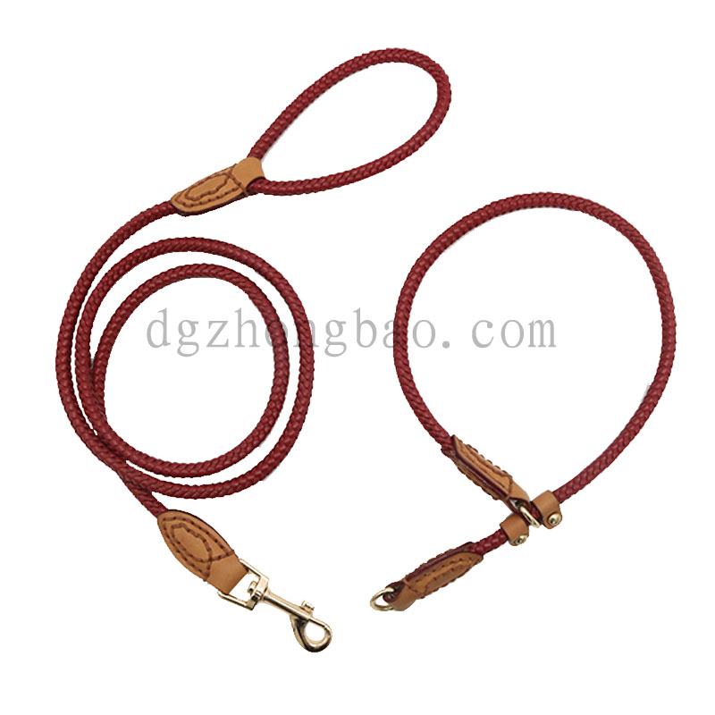 Sợi nhỏ màu đỏ độc đáo với dây xích thú cưng bện cho chó