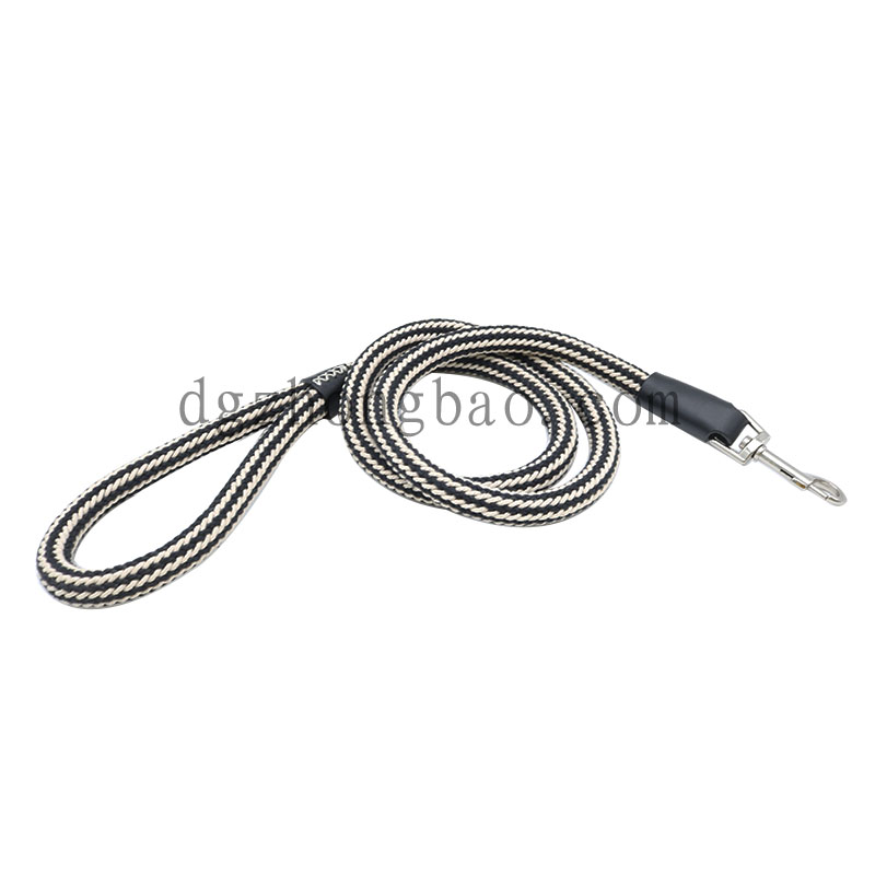 Nylon bện đôi với dây xích da thú cưng chính hãng