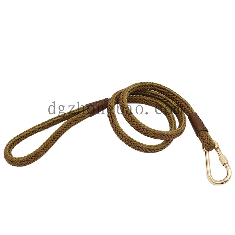 Dây xích thú cưng