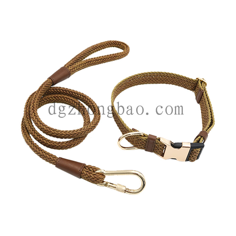 Dây xích thú cưng