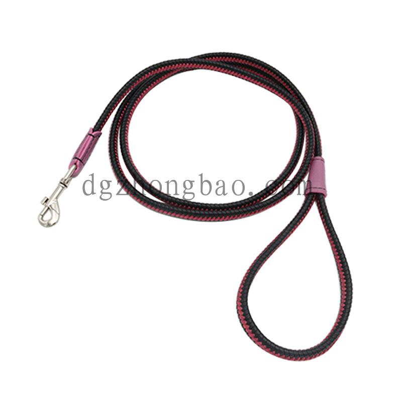 Dây xích thú cưng