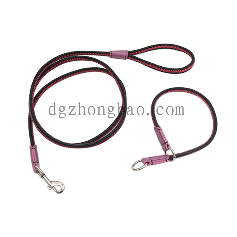 Dây xích thú cưng