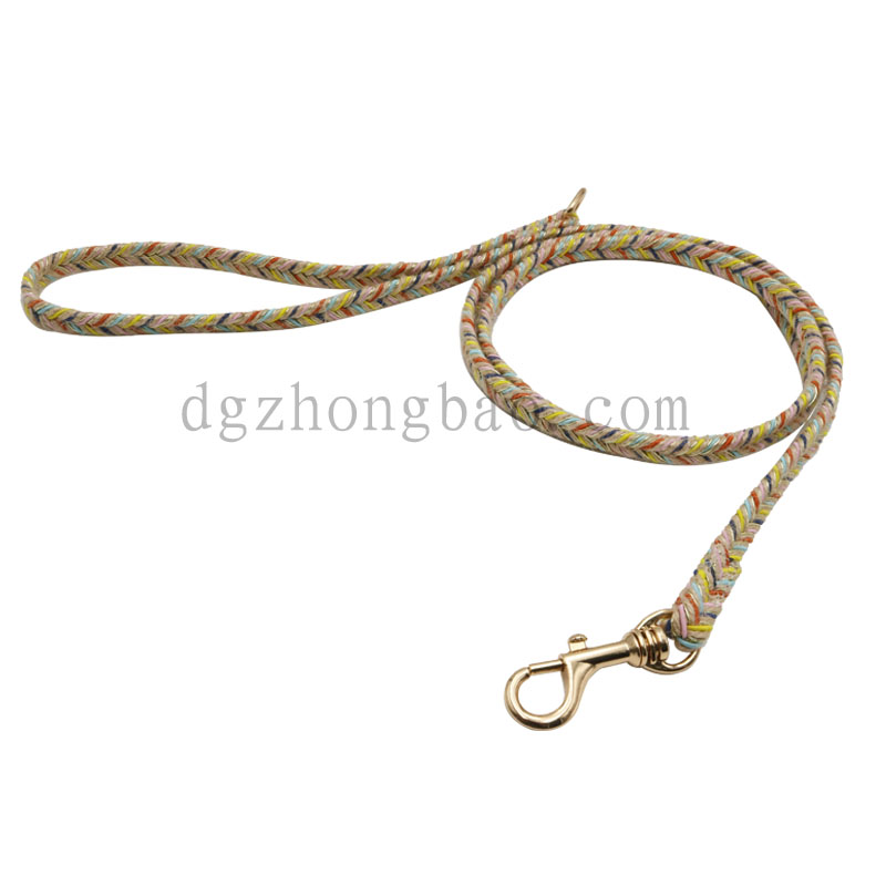 Dây xích thú cưng đầy màu sắc